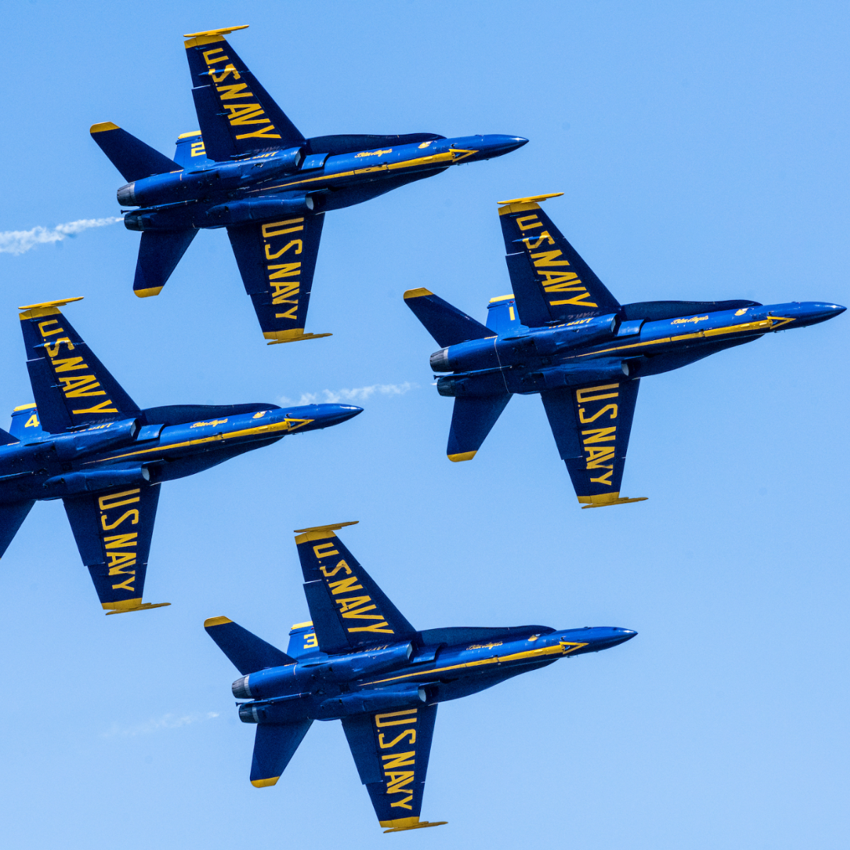 Blue Angels Planes 2024 - Trudi Marnia