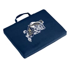 seat cushion