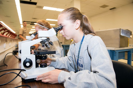 usna summer seminar stem